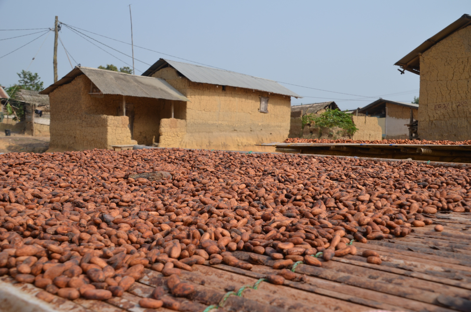 Und nicht zu vergessen ist die Schokolade, Ghana ist das Anbauland für Kakao.