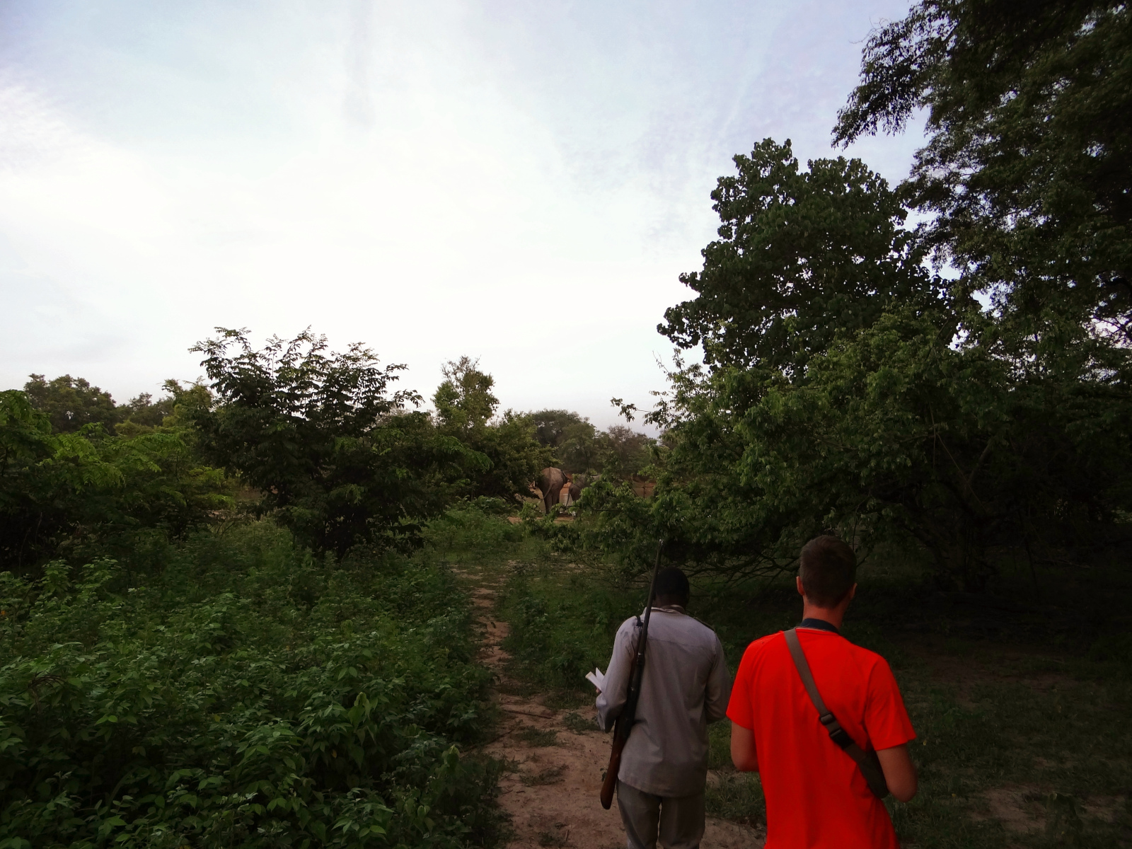 Besonders in den frühen Morgenstunden kann man zu Fuß bei einer Safari den Park erkunden.